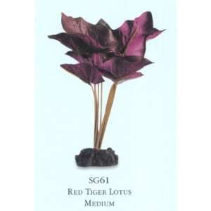  Tiger Lotus Plant   Medium   Red: Pet Supplies
