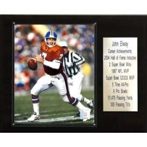   Broncos John Elway 12x15 Career Stats Plaque: Sports & Outdoors