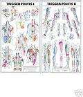 TRIGGER POINT CHART SET Anatomy Anatomical Chiropractic Posters 