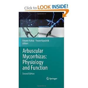  Arbuscular Mycorrhizas Physiology and Function 