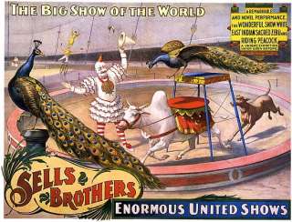 Sells Brothers Clown Circus Poster  