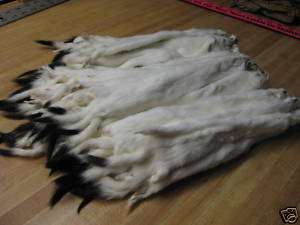 Tanned White Ermine Hides/Fur CoatsTrapping/Furs  