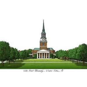  Wake Forest University Lithograph Only