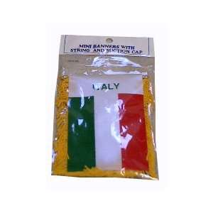 Italian Flag with String and Suction Grocery & Gourmet Food