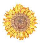  Inch SunFlowers Yellow Sun Flowers Decal Wallies Wall Border Stickers