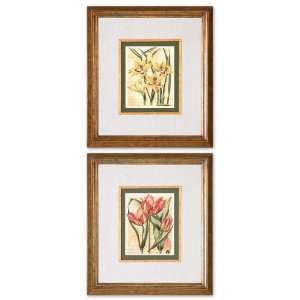 Uttermost 23.8 Inch French Tulip & Gladiola Set/2 Prints Hanging Wall 