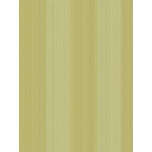  Wallpaper Steves Color Collection   Green BC1581021: Home 