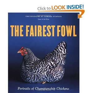  The Fairest Fowl: Portraits of Championship Chickens 