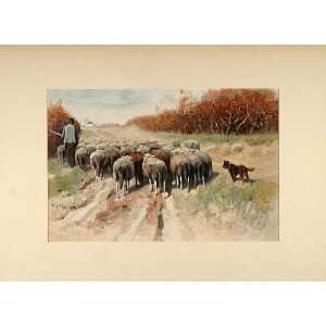  1896 Print Shepherd Sheep Francois Pieter ter Meulen 