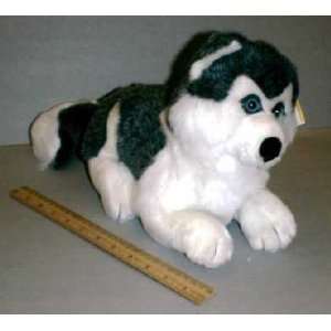 Plush Husky Puppy Dog : Toys & Games : 