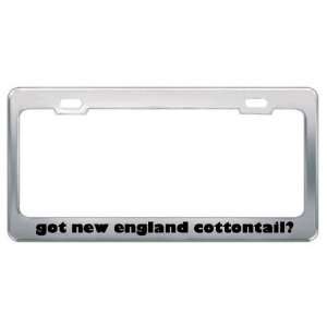 Got New England Cottontail? Animals Pets Metal License Plate Frame 