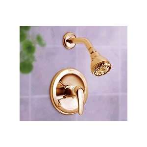  Danze 500513 BP Brass Single Handle Shower Faucet: Home 