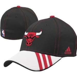  Chicago Bulls NBA 2008 2009 Official Team Flex Hat: Sports 