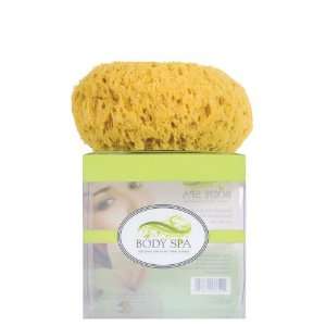  Body spa vibrating sponge   natural foam Beauty