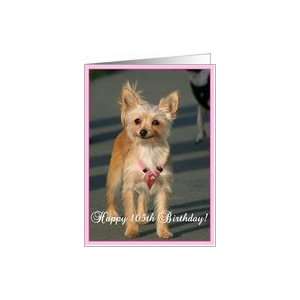  Happy 105th Birthday Chihuahua Dog Card: Toys & Games
