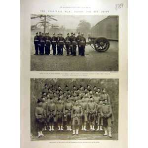 1900 Transvaal War Troops Artillery Volunteers Africa  