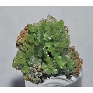  Pyromorphite Natural Crystal Specimen   China