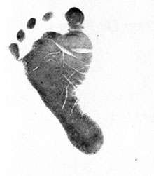 Empreintes des pied  Magic Footprint Standard Starter  