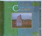 the standing stones of callanish import cd w germany returns