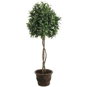  4.5 Ball Shaped Bay Leaf Topiary in Container Green 