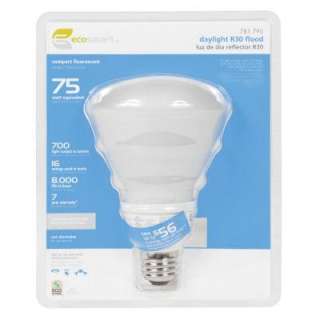   16 Watt (65W) Daylight R30 CFL Light Bulb ES5R31650K at The Home Depot