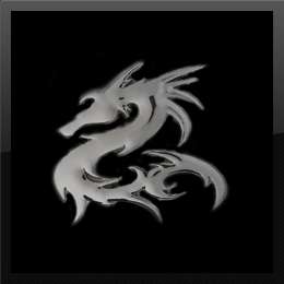 DRACHE II 3D chrom Emblem Logo Styling China NEU TOP  
