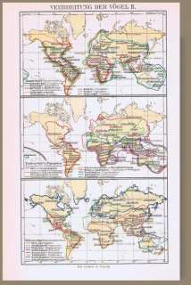 Landkarten von 1897: Verbreitung der Vögel weltweit  