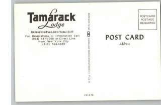 Postcard Tamarack LodgeGreenfield Park,New York/NY  