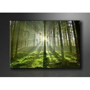 Bild auf Leinwand Wald 120 x 80 cm Modell Nr. XXL 5130 Bilder fertig 