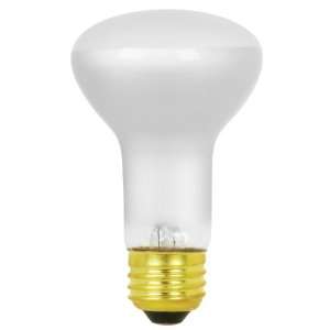  Feit BP30R20 Long Life Mini Reflector Light Bulbs: Home 