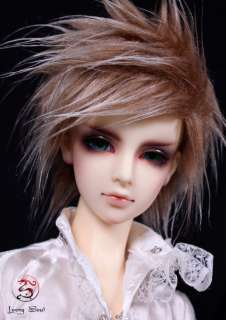   Aiwen LoongSoul 1/3 boy super dollfie sd13 size bjd