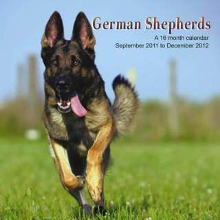 German Shepherds 2012 Calendar   NEW M  
