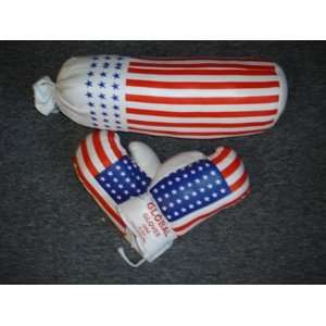    Youth Confederate Flag Boxing Gloves W/bag