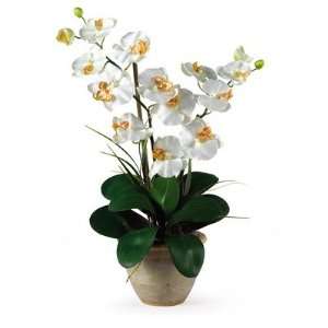   Double Phalaenopsis Silk Orchid Arrangement in Cream
