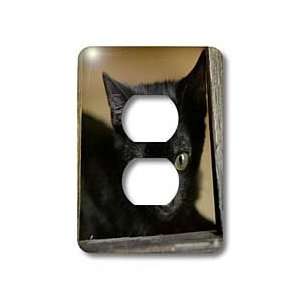 VWPics Cats and Dogs   Black Kitten in a frame   Light Switch Covers 