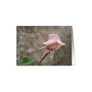  Mothers Day Mother   Pink Rose Bud Card: Health 