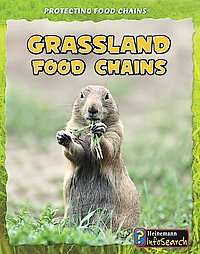 Grassland Food Chains by Buffy Silverman 2010, Paperback 9781432938642 