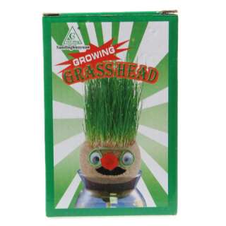 DIY Grass Head Grow Plant Seed Garden Indoor Home Decoration Kid Gift 
