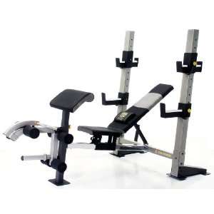  Golds Gym GB 2000 Pro Series Olympic Weight Bench Sports 