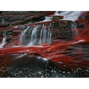  A Waterton creek bed gleams crimson from iron rich rocks 