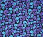   Skulls Biker Skateboarder Skull Purple Aqua Blue Black Valance NEW