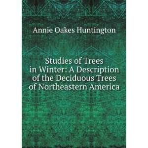 com Studies of Trees in Winter A Description of the Deciduous Trees 