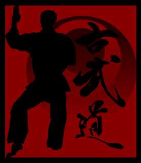 Shotokan Karate 3 DVD Home Black Belt Study Course  