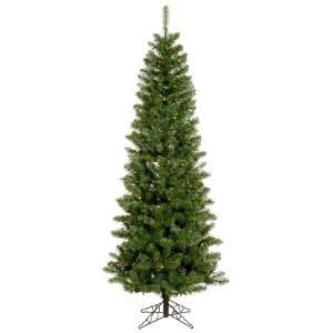  8.5 Pre Lit LED Salem Pine Pencil Artificial Christmas Tree 