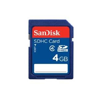 SanDisk 4GB SDHC card